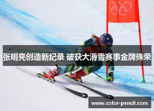 张明亮创造新纪录 破获大滑雪赛事金牌殊荣